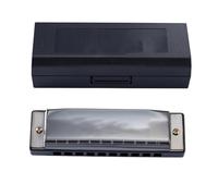 Armonica Armonica A Bocca A 10 Fori Per Principianti Strumento Per Imparare Il Blues Suonatore Di Blues Pratica(Black)