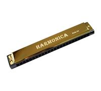 Armonica Armonica A Bocca A 24 Fori Tipo C Per Principianti E Adulti Per Esercitazioni Professionali(Gold)