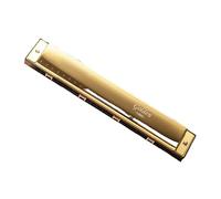 Armonica Armonica Armonica polifonica C a 24 buche per principianti(Gold)