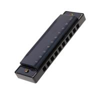 Armonica Armonica Blues a 10 fori C Blues Misteriosa strumento portatile per prestazioni