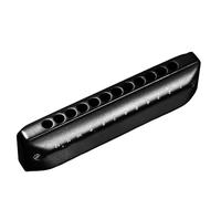 Armonica Armonica Blues A 12 Fori Diatonica Basso Principiante Adulto Professionale Performance(C key recommended for beginners)
