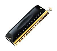 Armonica Armonica Cromatica 12/16 Fori In Do Per Principianti Strumento Di Livello Professionale(12 hole)