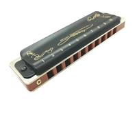 Armonica Armonica Diatonica 10 Fori Blues 2 Colori(Black bD Tone)