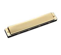 Armonica Armonica Polifonica/accentata In Do A 24 Fori Per Principianti E Adulti Di Livello Professionale(Accent 1)