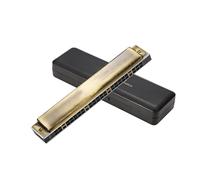 Armonica Armonica Polifonica In Do A 24 Fori Di Livello Professionale Per Principianti E Adulti Autodidatti(Gold)