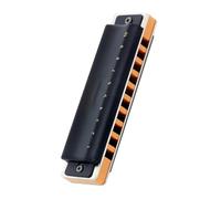 Armonica Blues a 10 fori Arpa diatonica Vernice spray nera Aspetto squisito Ance in bronzo fosforoso(Color:A)