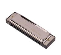 Armonica blues a 10 fori in Do per principianti per esercitarsi con l'armonica blues(Black)