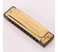 Armonica blues a 10 fori in Do per principianti per esercitarsi con l'armonica blues(Gold)