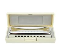Armonica Blues a 10 Fori Strumento Fiato Portatile per Principianti con Custodia, Design Compatto da Viaggio in ABS e Acciaio Inox (WHITE)