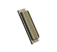 Armonica Blues a Bocca Organ 10 Fori Chiave C con Custodia Armonica Diatonica per Giocatori Professionisti Principianti Studenti Regali(610)