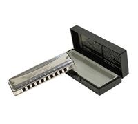 Armonica blues Armonica a 10 buche che suona l'armonica