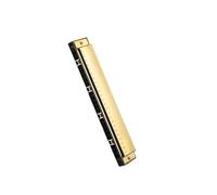 Armonica Blues Armonica Professionale A 24 Buche In Chiave C | Armonica polifonica professionale a 24 fori in chiave C per strumento per principianti adulti(CommemorateC)