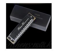 Armonica Blues Chiave di Do 10 Fori 20 Note Armonica Arpa Strumento Musicale Per Armonica Melodica(Black)