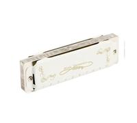 Armonica Blues diatonica in Re 10 fori armonica a bocca armonica per adulti professionisti(Db Key)