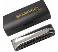 Armonica Blues Professionale a 10 fori Armonica didattica introduttiva per principianti Strumento musicale Armonica a chiave di Do