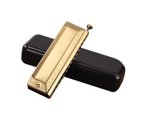 Armonica cromatica a 12 fori, per adulti, professionale, livello di prestazioni, per principianti, per principianti (oro)