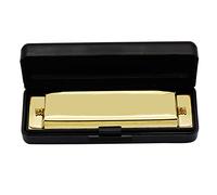 Armonica Diatonica 10 Fori 20 Melodie in Metallo per Principianti - Strumento Musicale Educativo Ideale per Iniziare la Pratica Musicale - Armonica a Bocca per Studio e Apprendimento Base