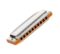 Armonica Diatonica 10 Fori 20 Toni Copertura In Acciaio Inossidabile Strumenti Per Arpa Ad Ancia In Ottone Armonica Strumento Musicale (Color : Key G)