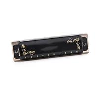 Armonica diatonica a 10 fori con custodia in pelle nera per suonare o esercitarsi armonica Strumento Professionale(F-rising key)