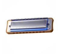 Armonica diatonica a 10 fori con foro rotondo armonica blues suono ricco per principianti Il design del prodotto è perfetto.(PaddyC)