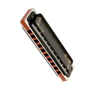 Armonica diatonica blues a 10 fori Ottone Bronzo fosforoso Reed Diatonica Qualità del suono standard(A)