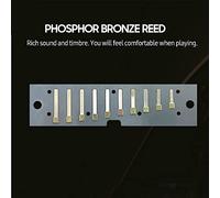 Armonica Diatonica Blues Mtlavishishishing Nella Chiave Di C Con 10 Buche Ideale Per Principianti E Amanti Della Musica Per Suonare Blues Folk Pop Country Jazz In Colore Argento