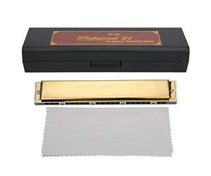 Armonica diatonica in Do a 10 fori, custodia inclusa per principianti | Suono brillante e tenuta d'aria ottimale, note musicali stampate sulla piastra, superficie liscia con stampa fine, design