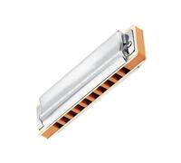 Armonica diatonica professionale blues a 10 fori, facile da suonare e adatta ai principianti(Color:A)