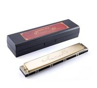 Armonica In Do Armonica A Bocca 24 Fori Suono Polifonico Professionale Portatile Per Adulti(Golden)