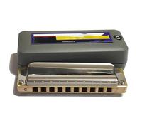 Armonica In Do Armonica Blues A 10 Fori In Do Con Rivestimento In Acciaio Inossidabile E Pettine In Acero