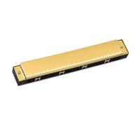 Armonica In Do Armonica Blues Professionale Per Adulti 24 Fori Tono C(Type2)
