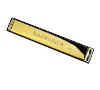 Armonica In Do Armonica Professionale A 24 Fori Accordatura In Do Corpo In Metallo Aspetto Splendido(Gold)