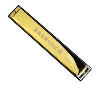 Armonica In Do Strumento Armonica Professionale A 24 Fori Con Accordatura In Do Corpo In Metallo(Gold)