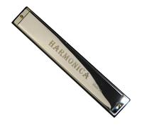 Armonica In Do Strumento Armonica Professionale A 24 Fori Con Accordatura In Do Corpo In Metallo(Silver)