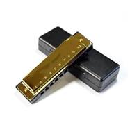 Armonica In Tonalità Di Do Maggiore A 10 Fori Scala Diatonica Con Custodia Adatta Per Suonare E Fare Pratica armonica Strumento Professionale(Gold)