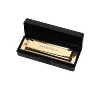 Armonica Per Adulti Armonica A Bocca A 10 Fori In Do Per Principianti Adulti E Amanti Della Musica(Gold)