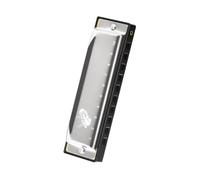 Armonica Per Adulti Armonica Blues Diatonica Per Amanti Della Musica Tonalità Di Do 10 Fori Standard H(Silver)