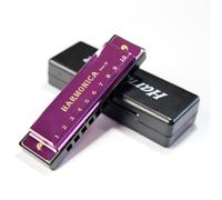 Armonica Per Adulti Armonica Blues In Do A 10 Fori Con Anima In Rame E Titanio Prestazioni Professionali(Purple)