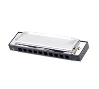 Armonica Per Adulti Armonica Diatonica A 10 Fori E 20 Note Per Principianti E Adulti In Acciaio Inossidabile Do