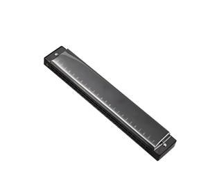 Armonica Per Adulti Scale Di Armonica Polifonica In Do A 24 Fori Per Principianti E Adulti(Type 2)