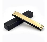 Armonica Per Principianti Armonica A 24 Fori In Do Uno Strumento Professionale Per Le Performance(Gold)