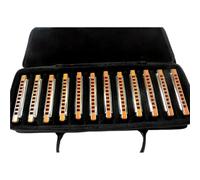 Armonica Per Principianti Armonica A Bocca Professionale Blues Harp 12 Tasti Set Musica Ance In Metallo Musica Nero(Silver)