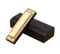 Armonica Per Principianti Armonica Blues A 10 Fori Pianoforte Accordato In Do Per Principianti E Adulti Per Iniziare Con L'armonica Blues A 10 Fori(Gold)