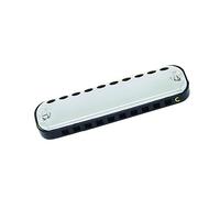 Armonica per Studenti Chiave C Ovale A 10 Fori Copertura In Acciaio Inossidabile Tipo Da Gioco Armonica A Bocca Con Scatola (Color : 01)