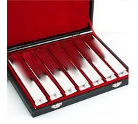 Armonica Polifonica A 24 Fori Prestazioni Professionali Set Da 7/12 Toni Scatola Regalo(12-p set)