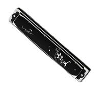 Armonica Polifonica Didattica A 24 Fori In Do Strumento Musicale Professionale Colorato Armonica(24 C black 3)