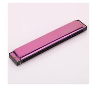 Armonica polifonica in Do a 24 buche per principianti che vogliono esercitarsi con l'armonica(Purple)