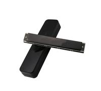 Armonica Polifonica Professionale A 24 Fori Con Finitura Opaca O Laccata In Mi Bemolle E Altre Tonalità armonica Strumento Professionale(Glossy,F G flat)