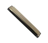 Armonica Portatile A 24 Buche Armonica In Metallo Strumento Musicale Con Custodia Per Principianti Armonica Strumento Musicale (Color : 02)