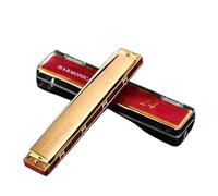 Armonica Principianti Adulti Professionisti Armonica Polifonica Tremolo A 24 Fori In Do(Gold)